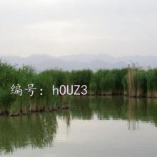 ǧ