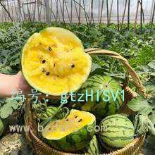ס
