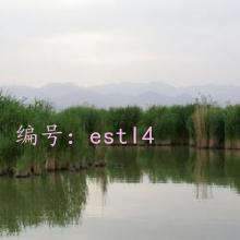 į
