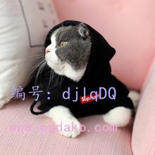 ֳ